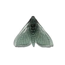 Load image into Gallery viewer, Pūriri Moth - Wings In
