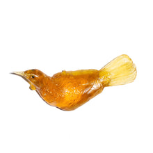 Load image into Gallery viewer, Tuī - Left Facing