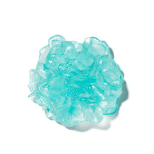 Load image into Gallery viewer, Camellia