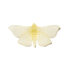 Load image into Gallery viewer, Pūriri Moth