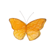 Load image into Gallery viewer, Kinetic Mount Butterfly - Red Admiral / Kahukura (small)