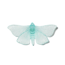 Load image into Gallery viewer, Pūriri Moth