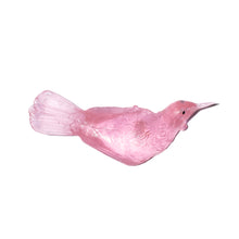 Load image into Gallery viewer, Tūī