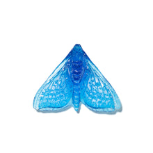 Load image into Gallery viewer, Pūriri Moth - Wings In