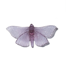 Load image into Gallery viewer, Pūriri Moth