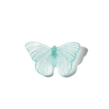 Load image into Gallery viewer, Classic Mount Butterfly - Admiral