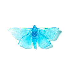 Load image into Gallery viewer, Pūriri Moth