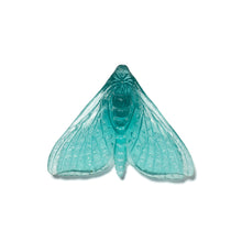 Load image into Gallery viewer, Pūriri Moth - Wings In
