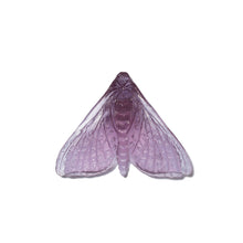 Load image into Gallery viewer, Pūriri Moth - Wings In