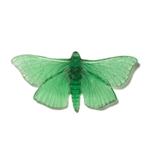 Load image into Gallery viewer, Pūriri Moth