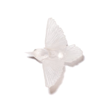 Load image into Gallery viewer, Miromiro / Tomtit