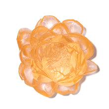 Load image into Gallery viewer, Peony