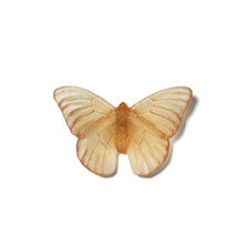 Load image into Gallery viewer, Classic Mount Butterfly - Admiral