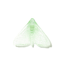 Load image into Gallery viewer, Pūriri Moth - Wings In