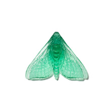 Load image into Gallery viewer, Pūriri Moth - Wings In
