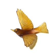 Load image into Gallery viewer, Tauhou / Silvereye