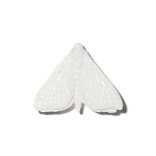 Load image into Gallery viewer, Pūriri Moth - Wings In