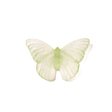 Load image into Gallery viewer, Classic Mount Butterfly - Admiral