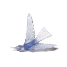 Load image into Gallery viewer, Korimako - wings back / Bellbird