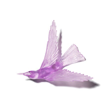 Load image into Gallery viewer, Korimako - wings back / Bellbird