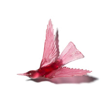 Load image into Gallery viewer, Korimako - wings back / Bellbird