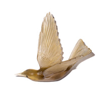 Load image into Gallery viewer, Korimako - wings back / Bellbird