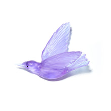 Load image into Gallery viewer, Korimako - wings back / Bellbird