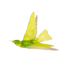 Load image into Gallery viewer, Korimako - wings back / Bellbird