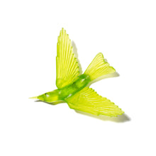 Load image into Gallery viewer, Korimako / Bellbird