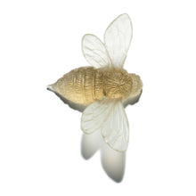 Load image into Gallery viewer, Bee - Wings Out