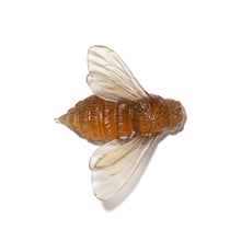 Load image into Gallery viewer, Bee - Wings In