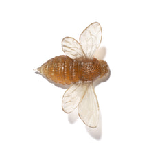 Load image into Gallery viewer, Bee - Wings Out