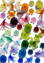 Load image into Gallery viewer, Dahlia