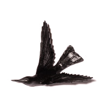 Load image into Gallery viewer, Korimako - wings back / Bellbird