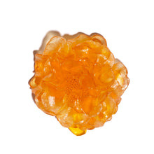 Load image into Gallery viewer, Camellia