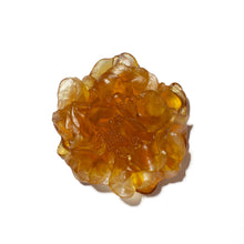 Load image into Gallery viewer, Camellia