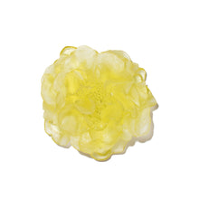 Load image into Gallery viewer, Camellia