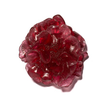 Load image into Gallery viewer, Camellia