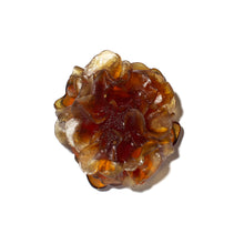 Load image into Gallery viewer, Camellia