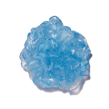 Load image into Gallery viewer, Camellia