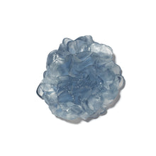 Load image into Gallery viewer, Camellia