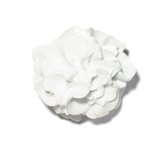 Load image into Gallery viewer, Camellia