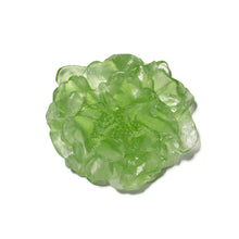 Load image into Gallery viewer, Camellia