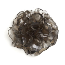 Load image into Gallery viewer, Camellia