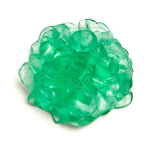 Load image into Gallery viewer, Camellia