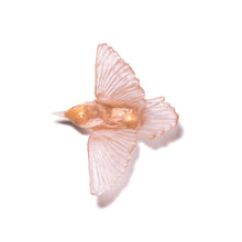 Load image into Gallery viewer, Miromiro / Tomtit