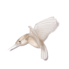 Load image into Gallery viewer, Kōtare / Kingfisher