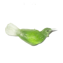 Load image into Gallery viewer, Tūī