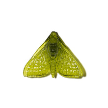 Load image into Gallery viewer, Pūriri Moth - Wings In