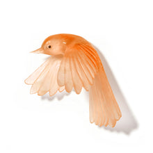 Load image into Gallery viewer, Pīwakawaka / Fantail - wings down
